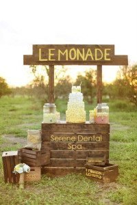 rustic lemonade stand 1